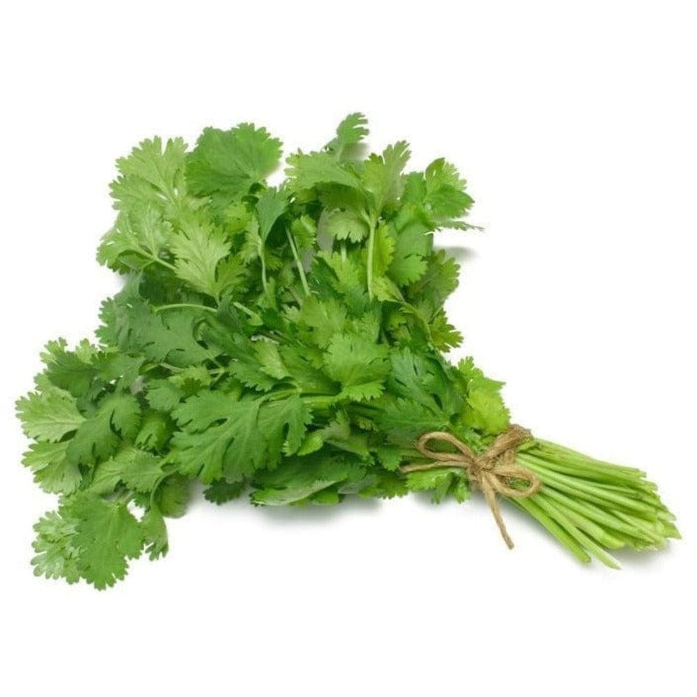 Coriander Leaves (1 bandage) Onezeros.in