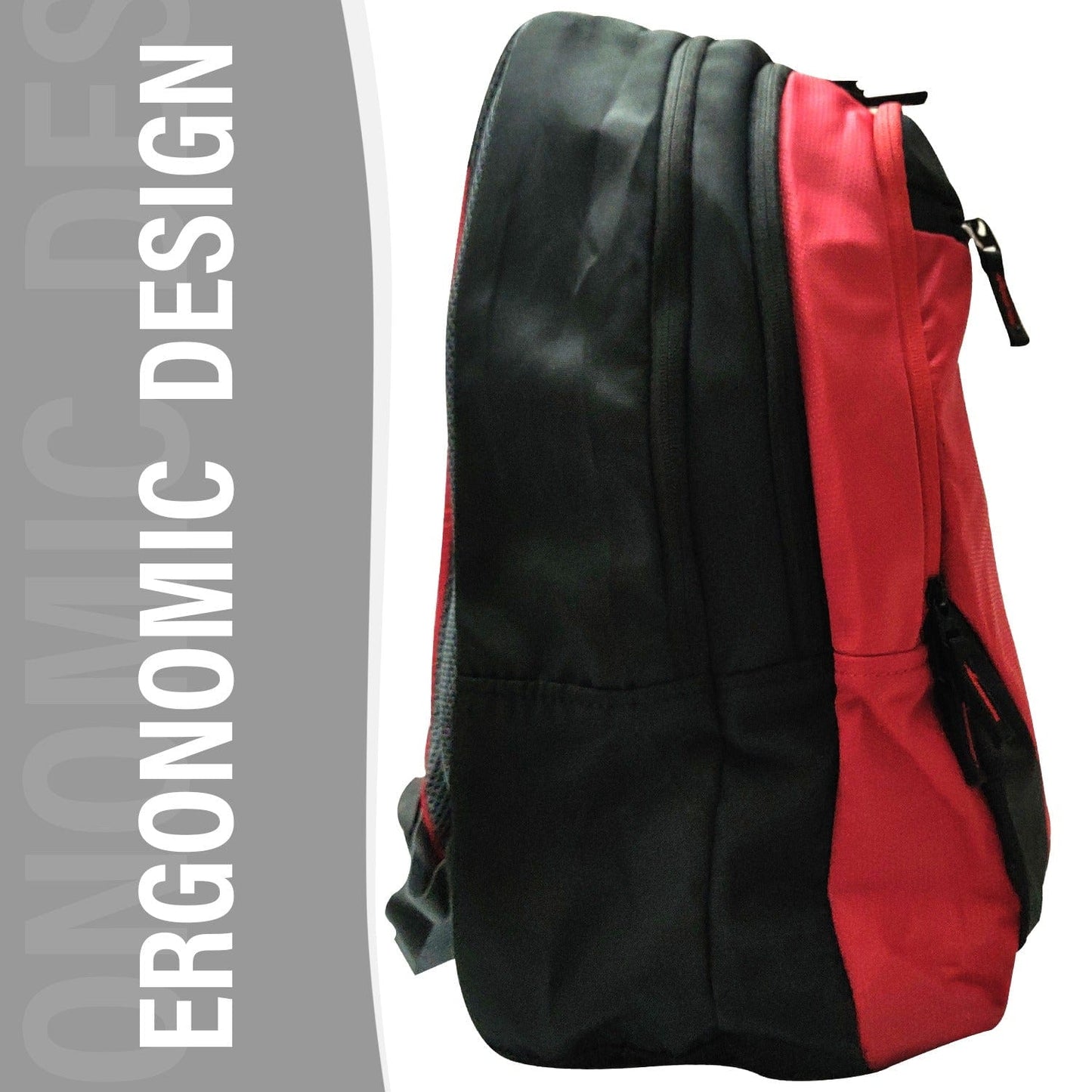 ANSIO School Pack with 4 Compartments Luggage & Bags