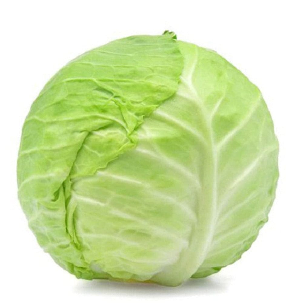 Fresh Cabbage 1 pc (Approx 600 g - 1000 g) Fresh & Frozen Vegetables