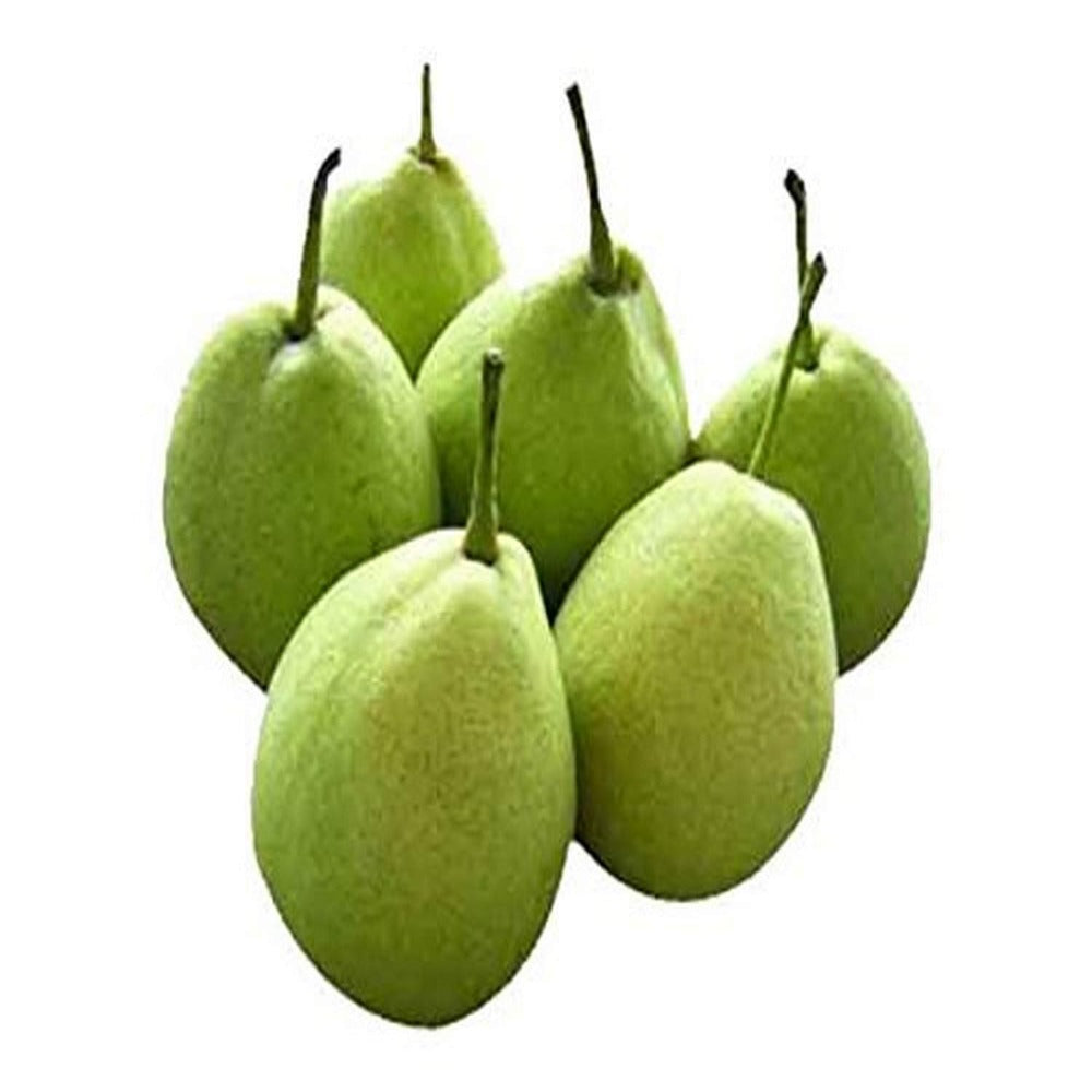 பேரிக்காய்- Indian Pear Green Fruits Fresh & Frozen Fruits