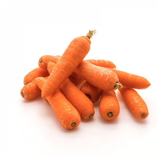 Test of Carrot Fresh & Frozen Vegetables