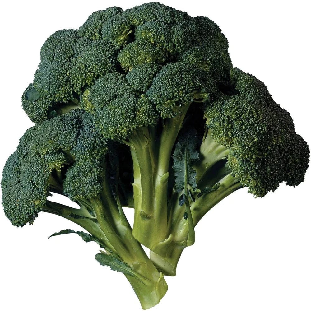 Broccoli Fruits & Vegetables