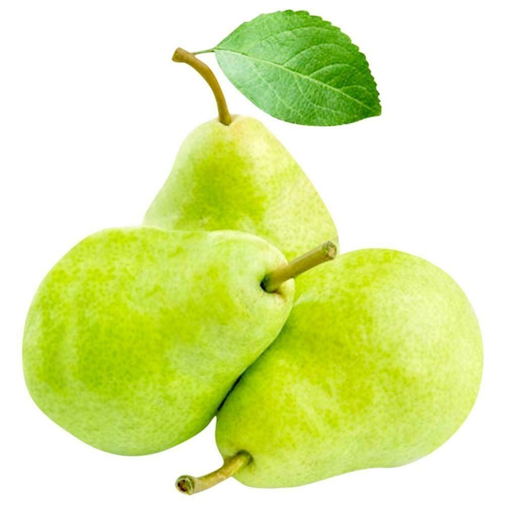இறக்குமதி பேரிக்காய்- Imported Pear Green Fruits Fruits & Vegetables