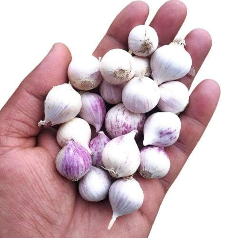  Oru Poondu - Single Clove Garlic Fruits & Vegetables