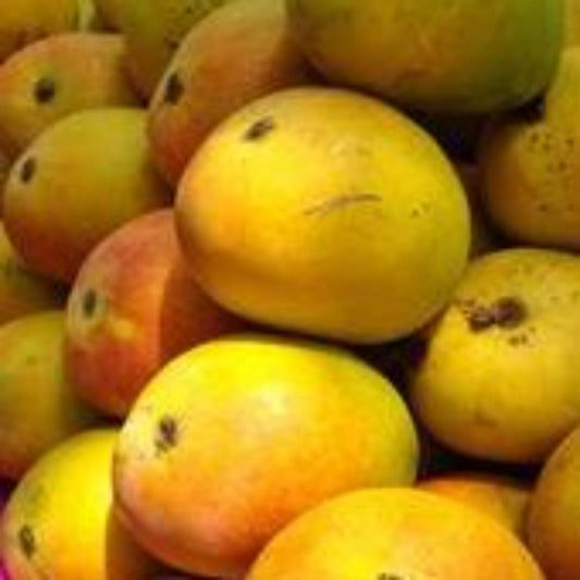 Rajapalayam Panjavarnam Mango Fruits Fruits & Vegetables
