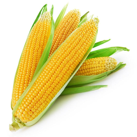 Sweet Corn, 2 Pcs Onezeros.in