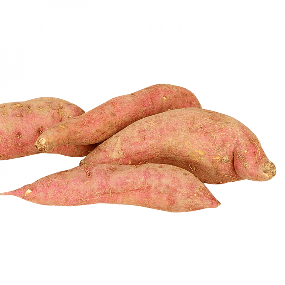 சக்கரவள்ளிக் கிழங்கு - Sweet Potato Onezeros.in